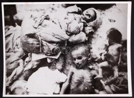 1944-1945 Szálasi rémuralmának áldozatai, 7 db megdöbbentő és szörnyű fénykép, 18x24 cm
