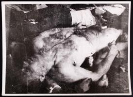 1944-1945 Szálasi rémuralmának áldozatai, 7 db megdöbbentő és szörnyű fénykép, 18x24 cm