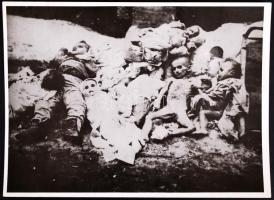 1944-1945 Szálasi rémuralmának áldozatai, 7 db megdöbbentő és szörnyű fénykép, 18x24 cm