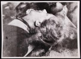 1944-1945 Szálasi rémuralmának áldozatai, 7 db megdöbbentő és szörnyű fénykép, 18x24 cm