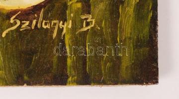 Szilágyi jelzéssel: Gyümölcs csendélet. Olaj, farost, 20×25 cm