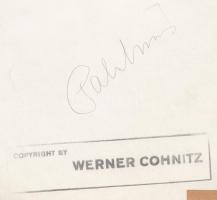 cca 1930-1940 Werner Cohnitz: Napolaj permetezés a Palatinus strandon, pecséttel jelzett vintage fot...