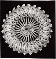 cca 1980 Nagy Ottó: Kán-kán körtánc, vintage fotómontázs, jelzetlen, 19x18 cm