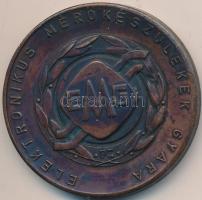 Peternák Gusztáv (1928-) 1968. "Elektronikus Mérőkészülékek Gyára / XII. EEG Vándorgyűlés Eszte...