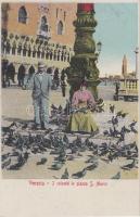 Venice, Venezia; S. Marco square, pigeons