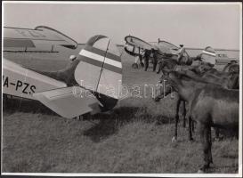 cca 1960-1970 Járai Rudolf (1913-1993): Hortobágy, turistákat szállító magán repülőgépek a ménes közelében, jelzetlen, a szerző hagyatékából, 18x24 cm