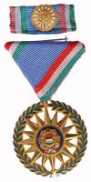 1976. "Szocialista Magyarországért Érdemrend" aranyozott bronz kitüntetés szalagsávon miniatűrrel, mellszalaggal T:1- Csak 1965db adományozás! / Hungary 1976. Order of Merit for the Socialist Hungary with ribbon and with miniature C:AU Only 1965db examples!