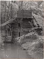 1957 Szemenyei Pál: Árván, elhagyatva, vintage fotó a vácrátóti vízimalomról, feliratozva, 24x18 cm