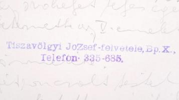 1944-1945 Tiszavölgyi József vintage budapesti felvételei a II. vh.  pusztításáról, több feliratozva...