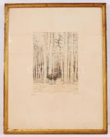 Csillag József (1894-1977): Rőzsehordó. Színezett rézkarc-papír, jelzett, üvegezett keretben, 23×18 cm