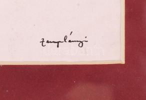 Zemplényi Magda (1899-1966): Eső közeleg. Tus, papír, jelzett, üvegezett keretben 27×38 cm