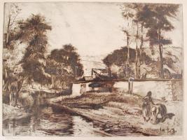 Olvashatatlan jelzéssel: Patakpart. Rézkarc, papír, üvegezett keretben, 26×35 cm