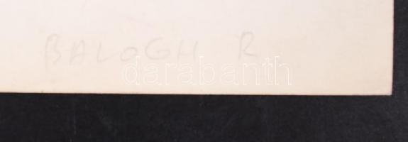 1930 Balogh Rudolf (1879-1944): Vadászó béka, vintage fotóművészeti alkotás, jelzetlen, a szerző hag...