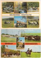 53 db főként modern, jó minőségű, ló motívumú lap / 53 modern motive cards, horses, good quality