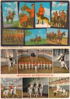 53 db főként modern, jó minőségű, ló motívumú lap / 53 modern motive cards, horses, good quality