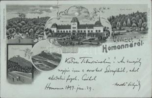 1899 Homonna  kastély, Csicsva vára, jeszenői és barkói várrom / castle and castle ruins, floral, litho (b)