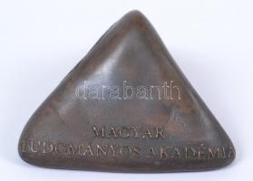 Szabó Imrefai Béla (1952-): MTA Nivódíj. Bronz kis plasztika, jelzett, 10×8 cm