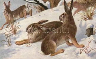 Rabbits O.G.Z.L. 277/1536