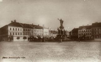 Arad Szabadság tér, Daimel Lajos, Schwarz testvérek, Weigl Adolf üzletei / Liberty square, shops