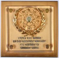 ~1960. Ferencvárosi Torna Club kitüntető plakettje aranyozott és zománcozott részekkel dísztokban T:...