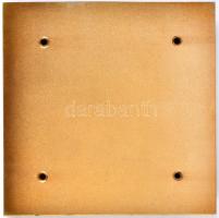 ~1960. Ferencvárosi Torna Club kitüntető plakettje aranyozott és zománcozott részekkel dísztokban T:...