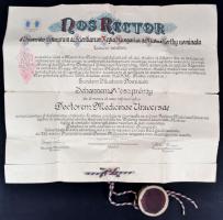 1944 Orvosi diploma viaszpecséttel / Doctors diploma