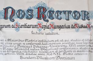 1944 Orvosi diploma viaszpecséttel / Doctors diploma