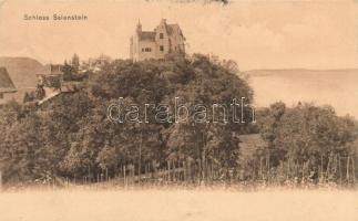 Salenstein Schloss / castle