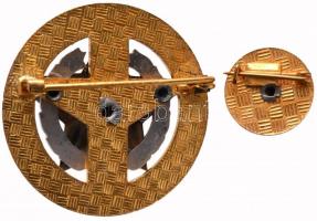 ~1976. "A Kisipari Szövetkezet Kiváló Dolgozója" miniatűrrel dísztokban T:1