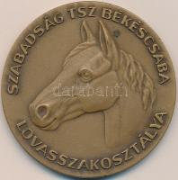 1976. "Szabadság TSZ Békéscsaba Lovasszakosztálya / 25 éves Jubileumi Lovasversenyért 1973"...