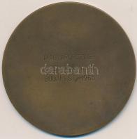 1965. "Budapesti Emlék / Magyarország-Csehszlovákia Budapest" Br emlékérem (80mm) dísztokb...