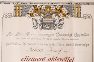 1910 Kassa, Az Abaúj-Torna vármegyei Gazdasági Egyesület által kiállított díszes elismerő oklevél