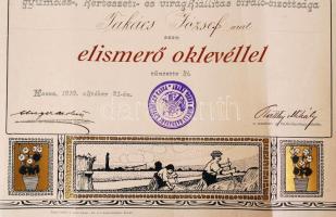 1910 Kassa, Az Abaúj-Torna vármegyei Gazdasági Egyesület által kiállított díszes elismerő oklevél