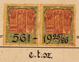 1925 Magyar Királyi Ferenc József Tudományegyetem által kiállított orvosi diploma szép állapotú függ...