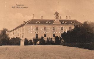 Galgóc Erdődy kastély / castle (gluemark)