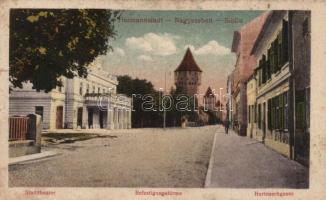 Nagyszeben, Hermannstadt; Harteneckgasse / street (b)