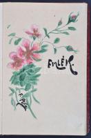 cca 1903-1904 Emlékkönyv, külsején díszítéssel, elejében litho képpel, belsejében versekkel, rajzokk...