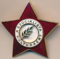 ~1970. "A Szocialista Kultúráért" zománcozott kitüntetés dísztokban T:1