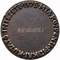 1975. "MTA Központi Fizikai Kutató Intézete" 25 éves jubileumi Br névre szóló plakett dísz...