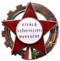 ~1960. &quot;Kiváló Szövetkezeti Munkáért&quot; Br kitüntető jelvény miniatűrrel eredeti adományozói dísztokban T:1