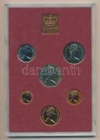 Nagy-Britannia / Írország 1979. 1/2p - 50p 6klf db, forgalmi szett plasztik tokban kartonban(Királyi...