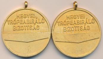 Saint-Louis Guet Ndar, market, folklore