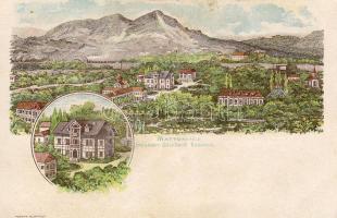 1898 Budapest Mattoni Salzbad Litho