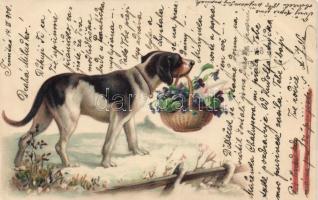 Dog with flower, litho (Rb)