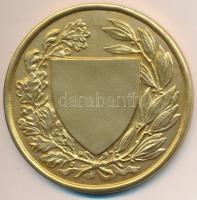 Berán Lajos (1882-1943) ~1925. "Országos Testnevelési Tanács" aranyozott Br emlékérem (60m...