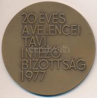 Gáll Gyula (1939-) 1977. "20 éves a Velencei Tavi Intéző Bizottság" Br emlékérem (70mm) to...