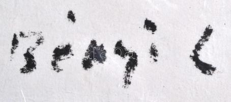 Bényi László (1909.2004): Galambdúc. Tus, papír, jelzett, fóliában, 38×29 cm