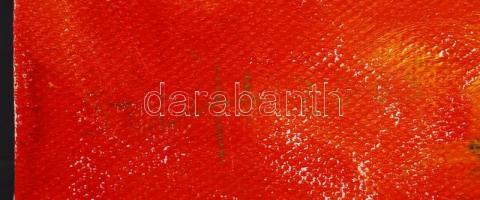 Szeift Béla (1944-): Kerti lények I. Olaj, vászon, jelzett, 20×20 cm