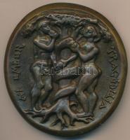 Madarassy Walter (1909-1994) DN "1823-1864 Madách Imre / Az ember tragédiája" Br emlékérem...