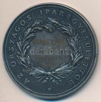 1946. &quot;Országos Iparegyesület&quot; ezüstözött bronz emlékérem névre szóló gravírozással (57mm) szign.: Anton Scharff (1845-1903) T:1-